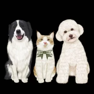 捲捲毛petpet