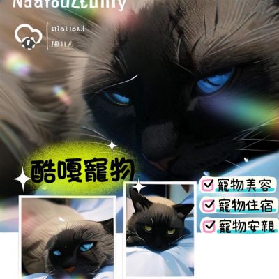酷嘎寵物時尚美學
