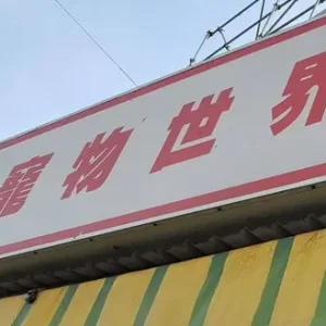 寵物世界