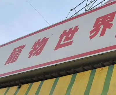 寵物世界